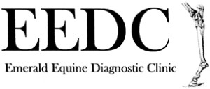 Emerald Equine Diagnostic Clinic