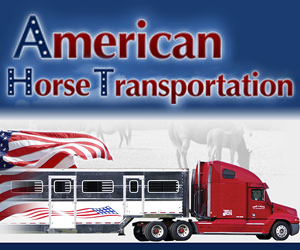 American Horse Transportation