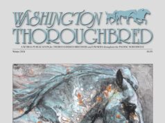 STALLION REGISTER – Stallions for 2025